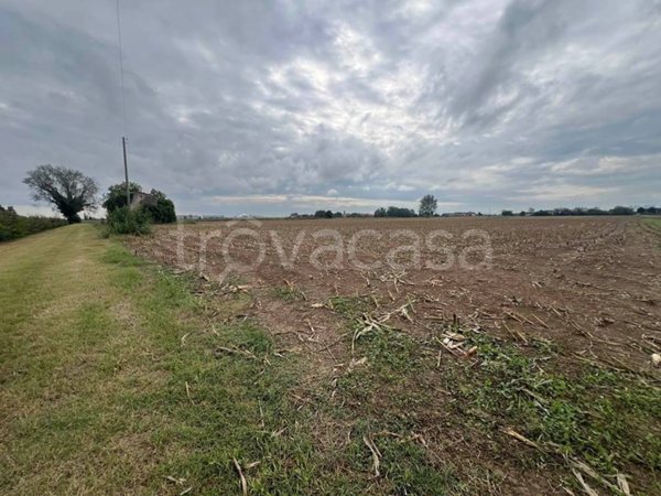 terreno agricolo in vendita a Roncoferraro