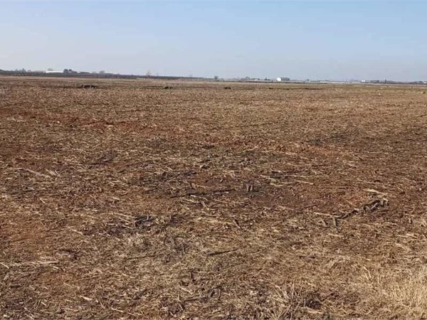 terreno agricolo in vendita a Roverbella in zona Malavicina