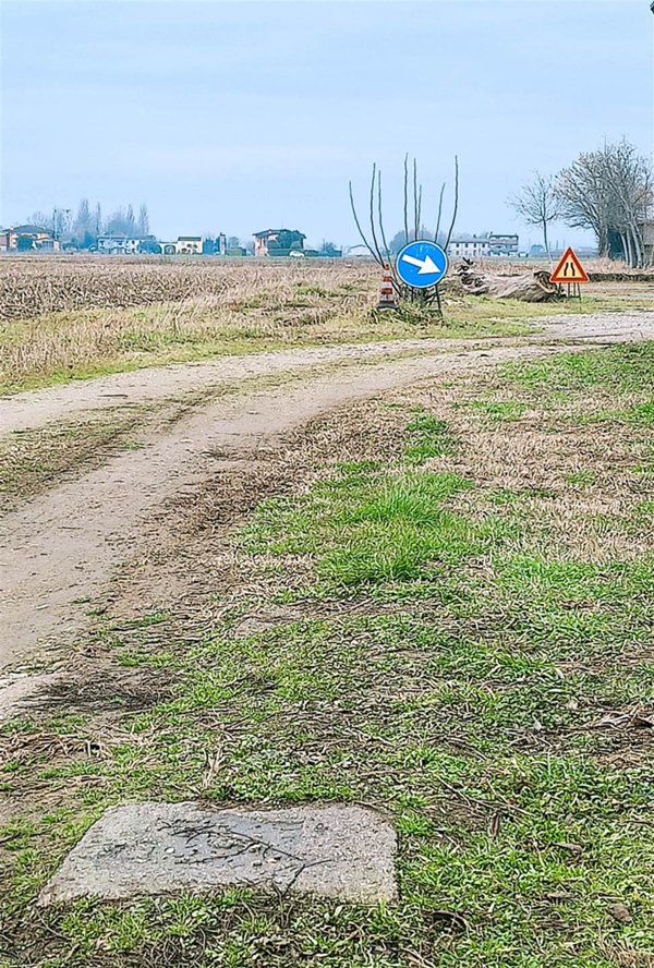 terreno agricolo in vendita a Roverbella in zona Castiglione Mantovano