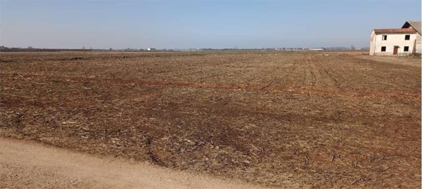 terreno agricolo in vendita a Roverbella in zona Malavicina
