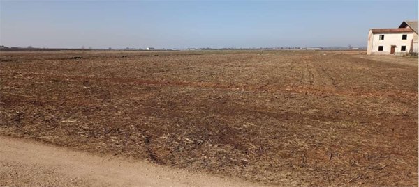 terreno agricolo in vendita a Roverbella in zona Malavicina