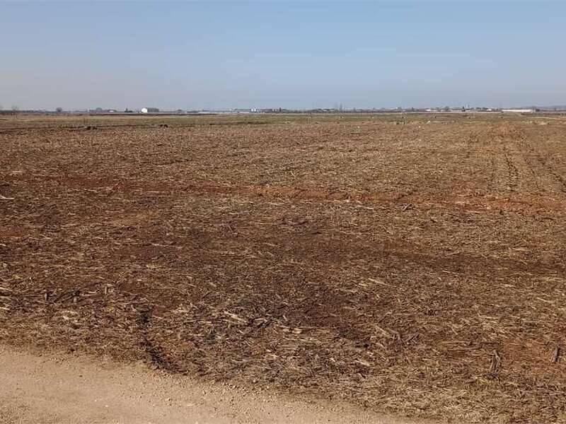 terreno agricolo in vendita a Roverbella in zona Malavicina
