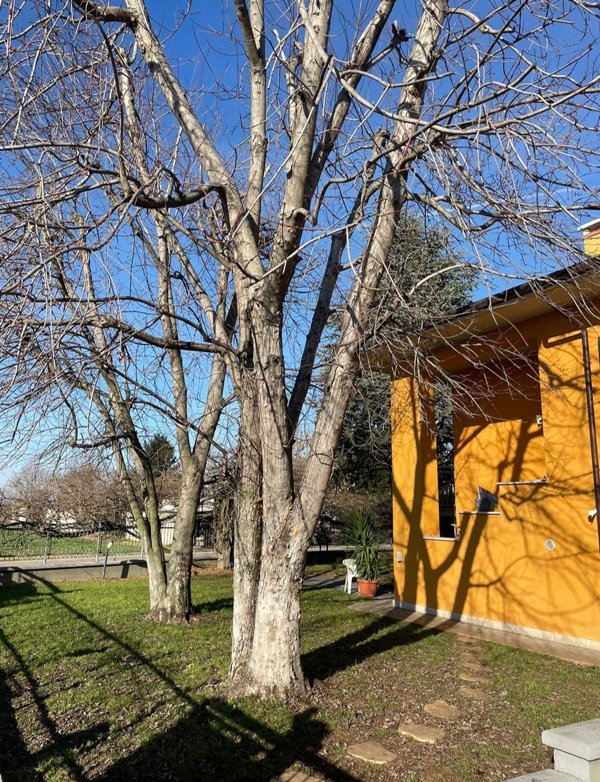 casa indipendente in vendita a Roverbella