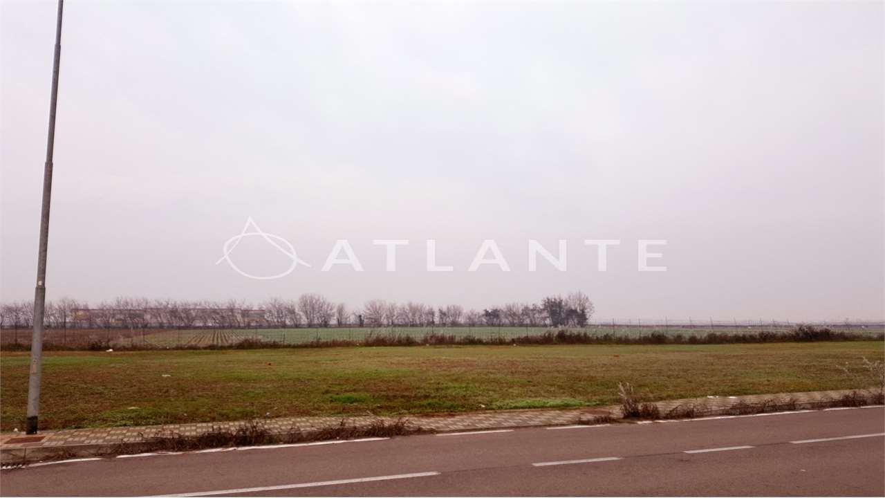 terreno agricolo in vendita a Roverbella