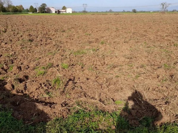 terreno agricolo in vendita a Roverbella
