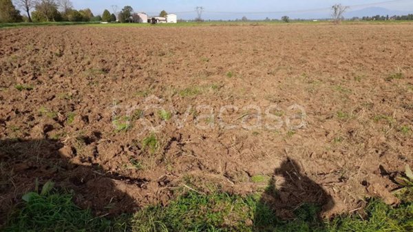 terreno agricolo in vendita a Roverbella