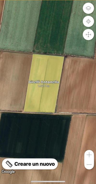 terreno agricolo in vendita a Roverbella in zona Malavicina