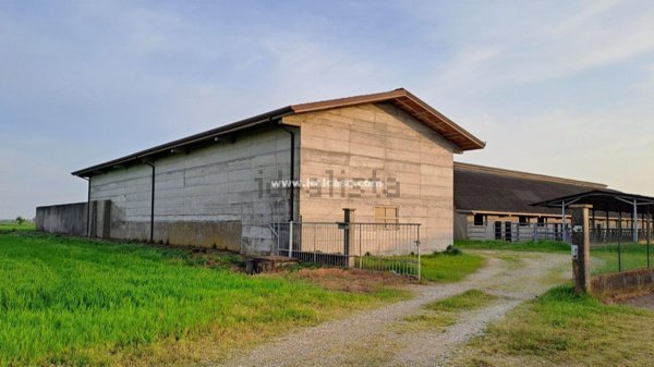 casa semindipendente in vendita a Roverbella