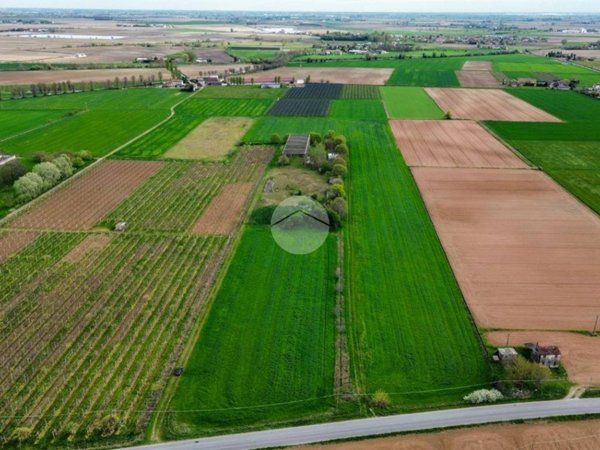 terreno agricolo in vendita a Roverbella in zona Malavicina
