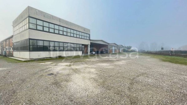 terreno edificabile in vendita a Sabbioneta