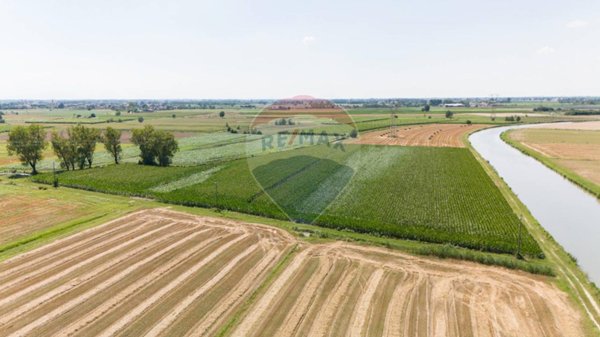 terreno agricolo in vendita a Sabbioneta in zona Commessaggio Inferiore
