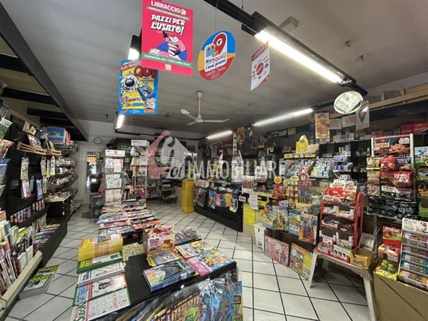appartamento in vendita a Sabbioneta in zona Breda Cisoni