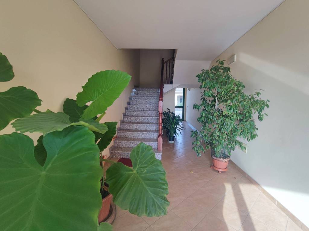 appartamento in vendita a Sabbioneta