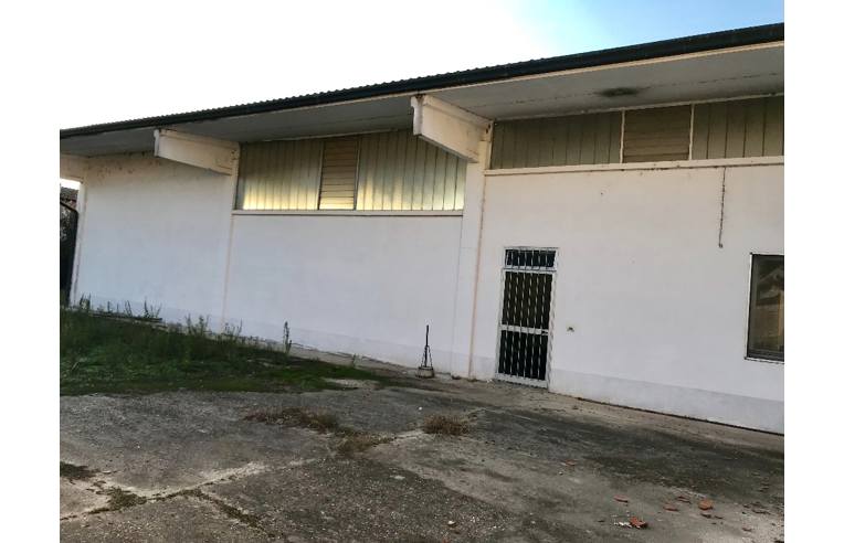 capannone in vendita a Sabbioneta in zona Ponteterra