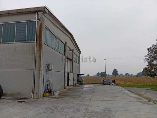 capannone in vendita a Sabbioneta