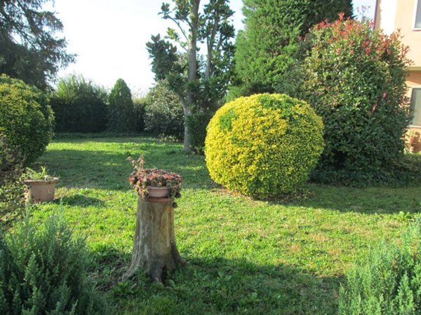 casa indipendente in vendita a Sabbioneta