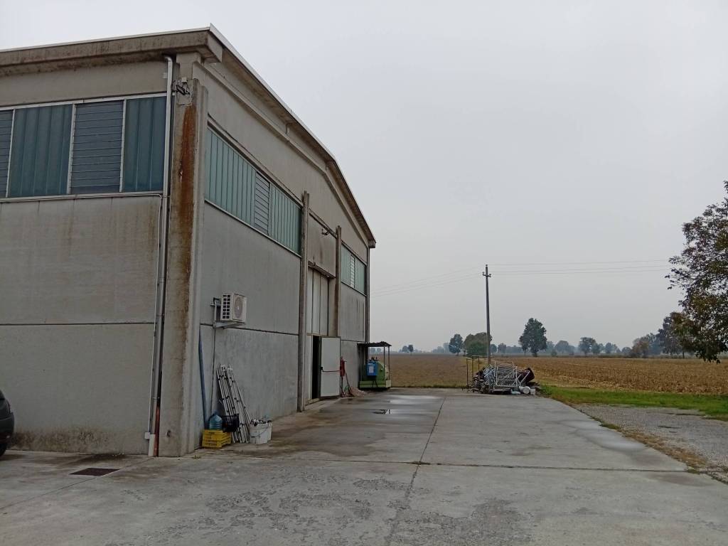 locale commerciale in vendita a Sabbioneta