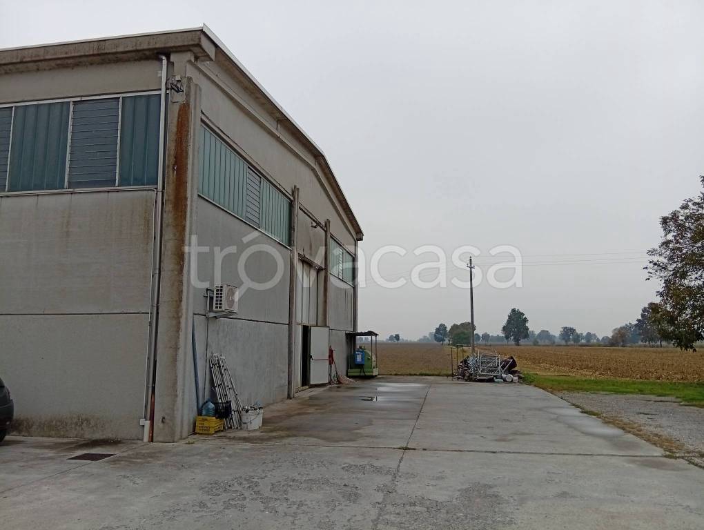 locale commerciale in vendita a Sabbioneta