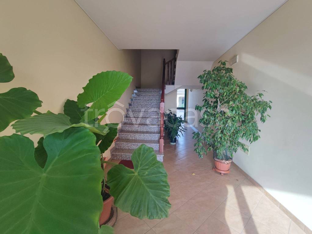 appartamento in vendita a Sabbioneta