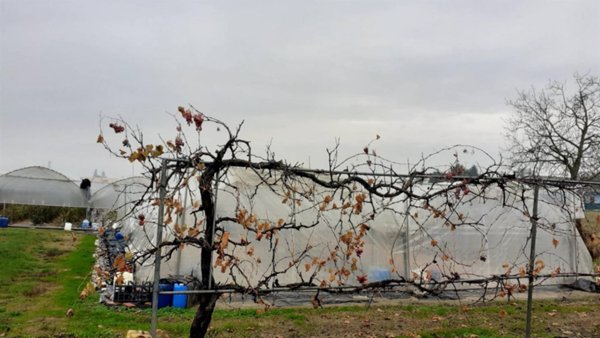 appartamento in vendita a San Benedetto Po