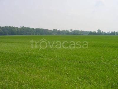 terreno agricolo in vendita a San Benedetto Po