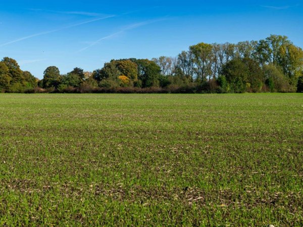 terreno agricolo in vendita a San Benedetto Po