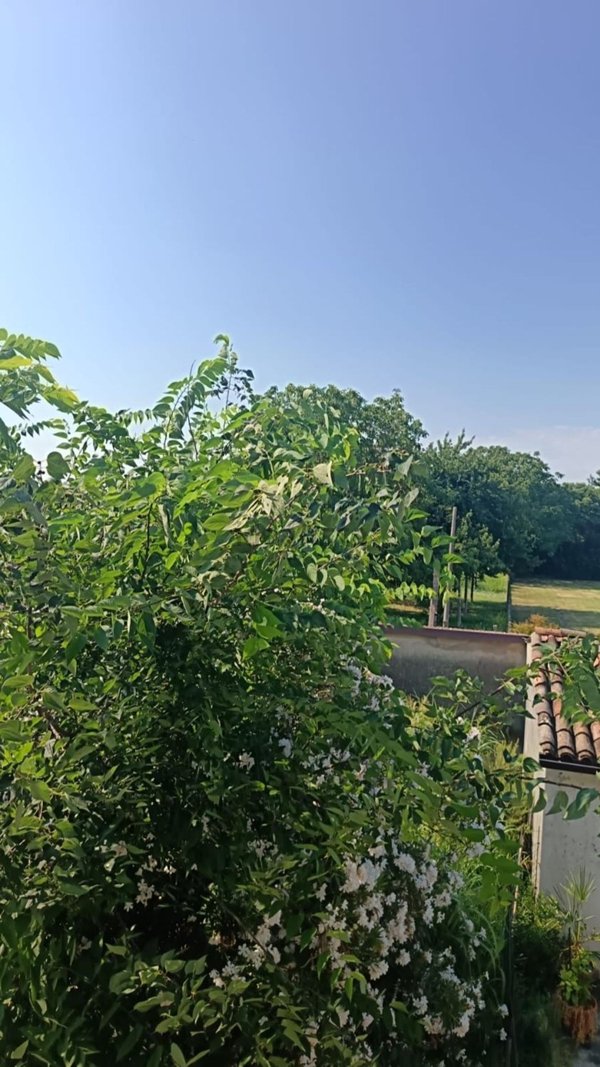 casa indipendente in vendita a San Benedetto Po