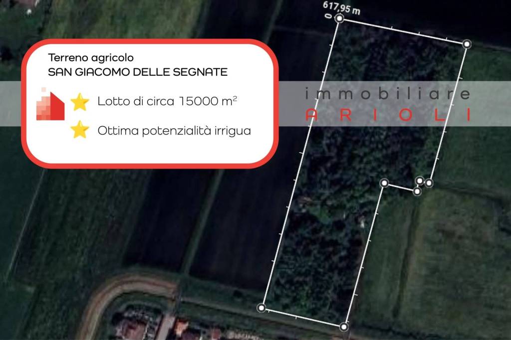 immagine annuncio 0 di 7