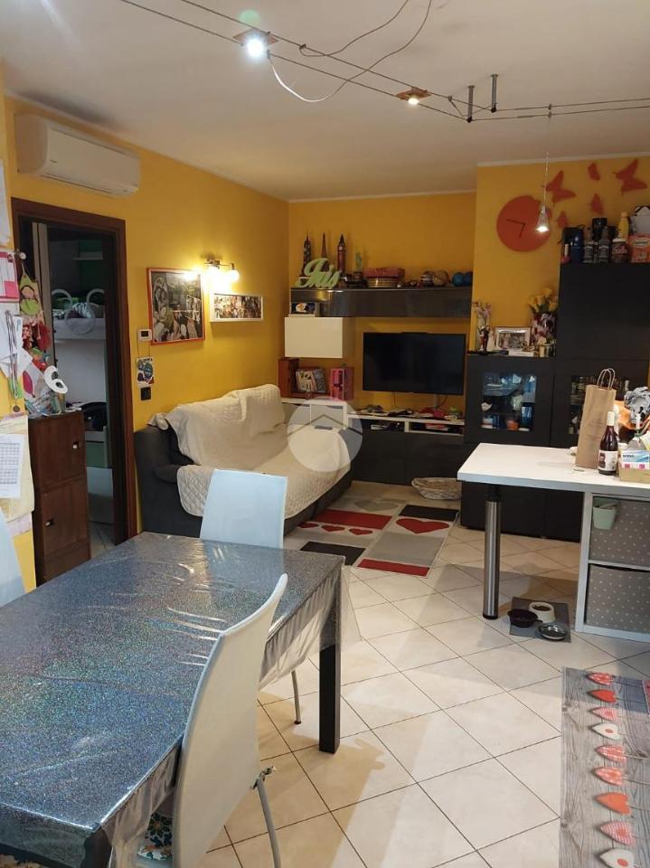 appartamento in vendita a San Giorgio Bigarello in zona Stradella