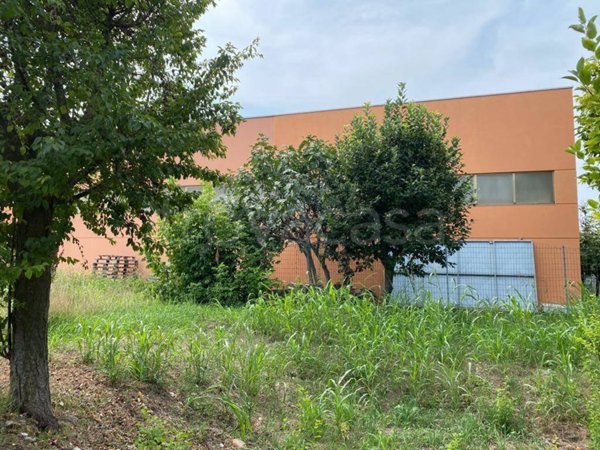 locale commerciale in vendita a San Giorgio Bigarello
