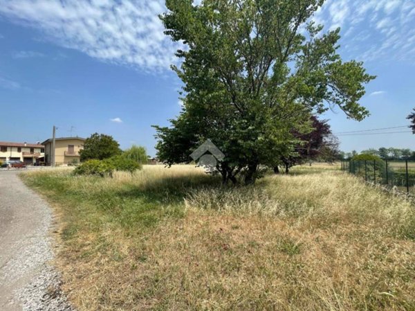 terreno agricolo in vendita a San Giorgio Bigarello in zona Bigarello