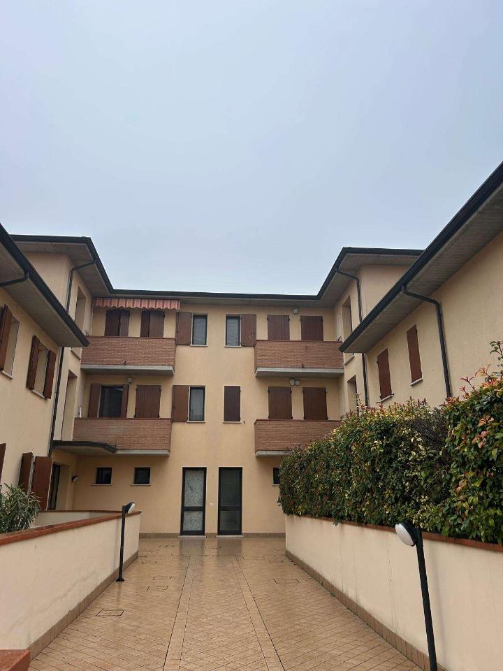 appartamento in vendita a San Giorgio Bigarello