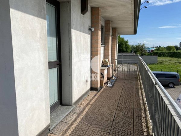 appartamento in vendita a San Giorgio Bigarello in zona Mottella