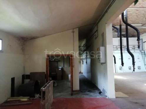 locale commerciale a San Giorgio Bigarello in zona Villanova Maiardina