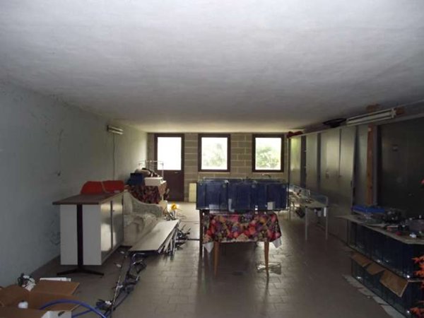 casa indipendente in vendita a San Giorgio Bigarello