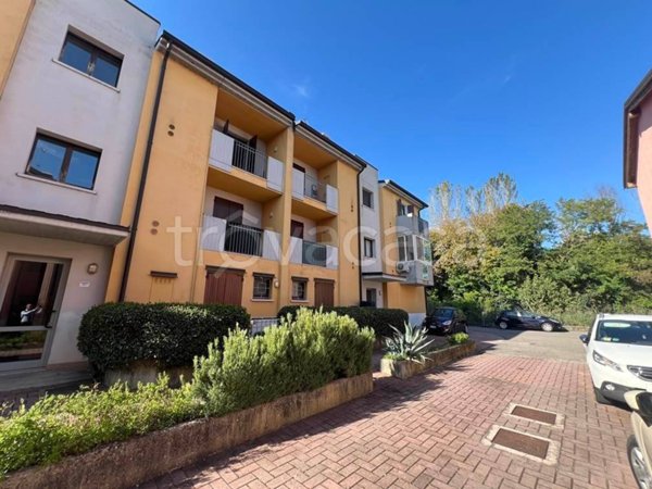 appartamento in vendita a San Giorgio Bigarello