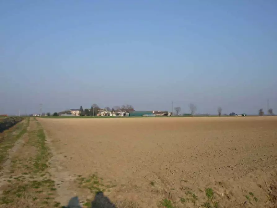 terreno agricolo in vendita a San Giorgio Bigarello