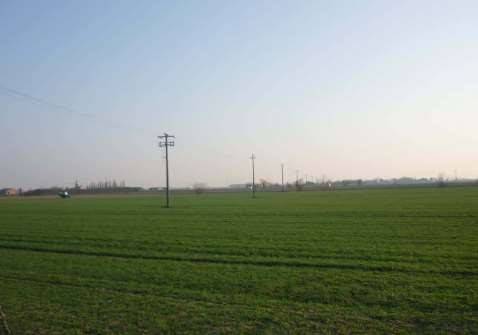 terreno agricolo in vendita a San Giorgio Bigarello