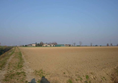 terreno agricolo in vendita a San Giorgio Bigarello