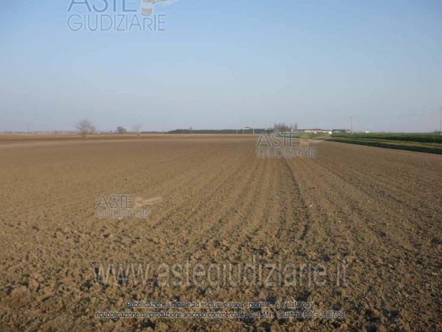 terreno edificabile in vendita a San Giorgio Bigarello