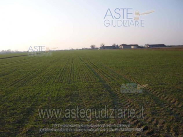 terreno edificabile in vendita a San Giorgio Bigarello