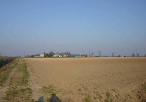terreno agricolo in vendita a San Giorgio Bigarello