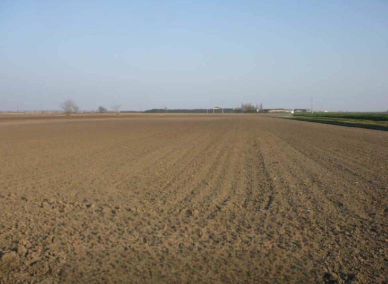 terreno agricolo in vendita a San Giorgio Bigarello