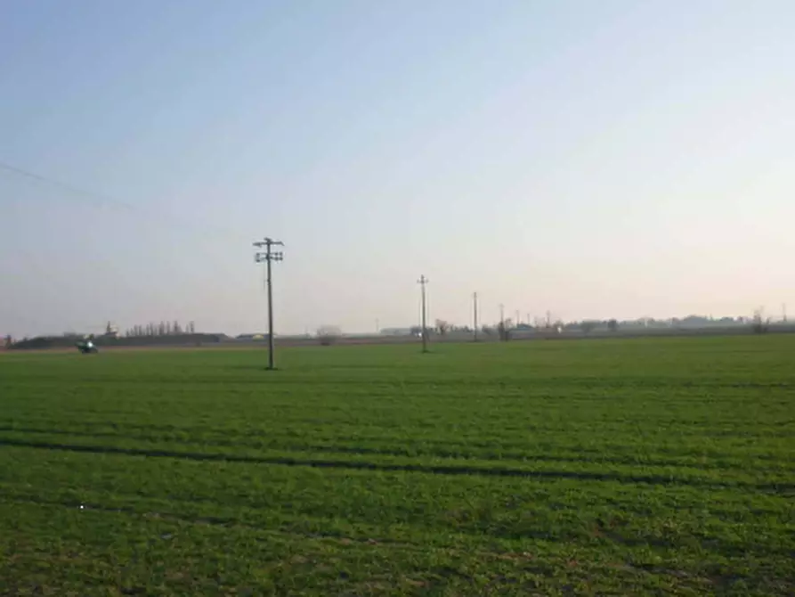 terreno agricolo in vendita a San Giorgio Bigarello