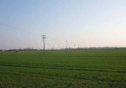 terreno agricolo in vendita a San Giorgio Bigarello