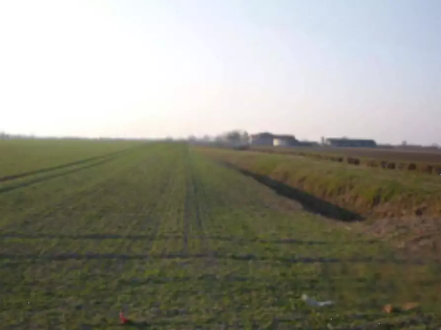 terreno agricolo in vendita a San Giorgio Bigarello