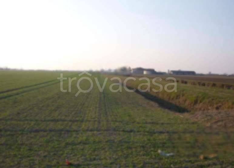 appartamento in vendita a San Giorgio Bigarello