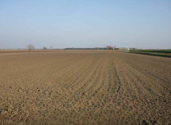 terreno agricolo in vendita a San Giorgio Bigarello