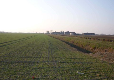 terreno agricolo in vendita a San Giorgio Bigarello