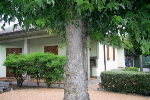 casa indipendente in vendita a San Giorgio Bigarello